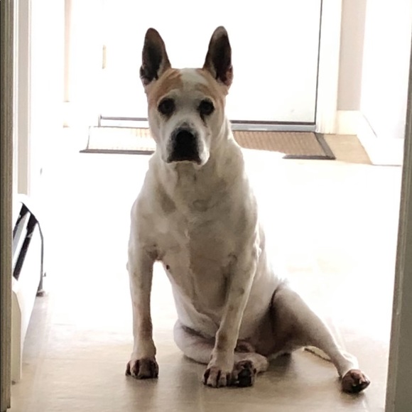 Meet your Posher, Jessica - Picture 2 of 2